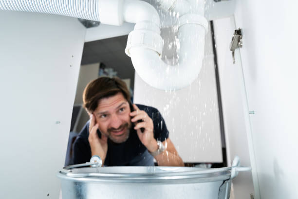 Best Clogged Drain Plumber  in Anderson, MO